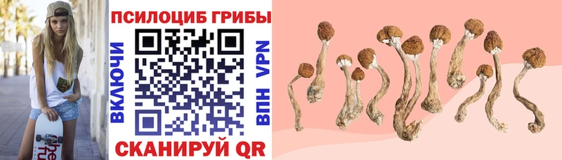 Галлюциногенные грибы мицелий Трёхгорный