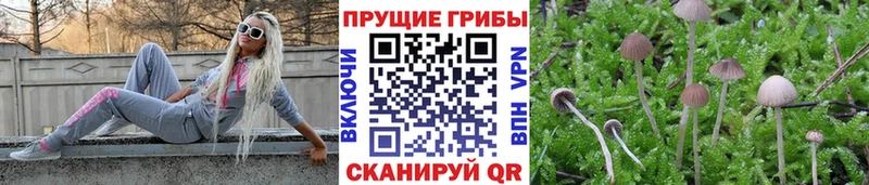 купить   Трёхгорный  Галлюциногенные грибы ЛСД 